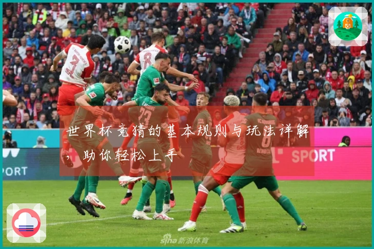 世界杯竞猜的基本规则与玩法详解，助你轻松上手