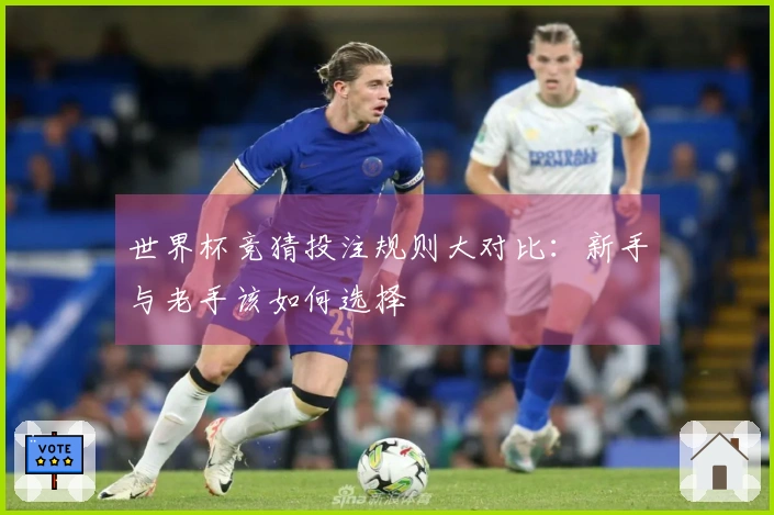 世界杯竞猜投注规则大对比：新手与老手该如何选择