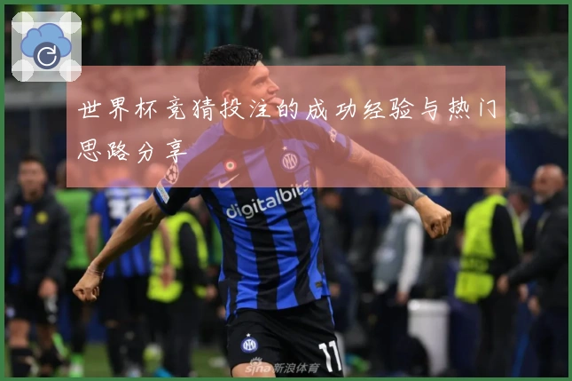 世界杯竞猜投注的成功经验与热门思路分享