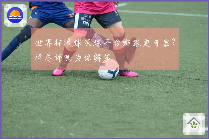 世界杯滚球买球平台哪家更可靠？详尽评测为你解答