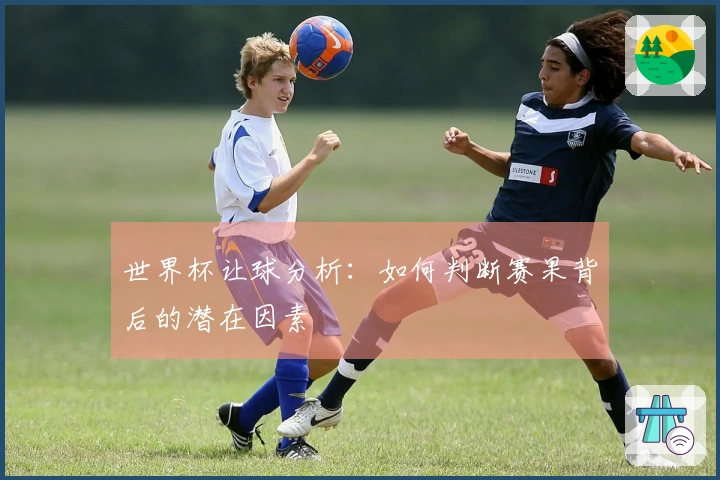 世界杯让球分析：如何判断赛果背后的潜在因素