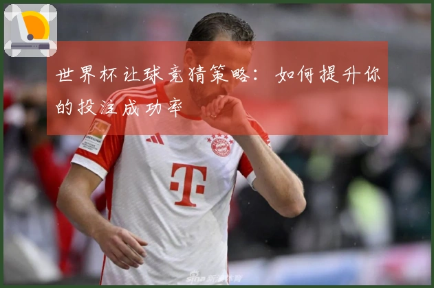 世界杯让球竞猜策略：如何提升你的投注成功率