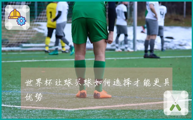 世界杯让球买球如何选择才能更具优势