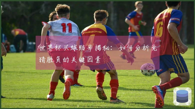 世界杯买球赔率揭秘：如何分析竞猜胜负的关键因素