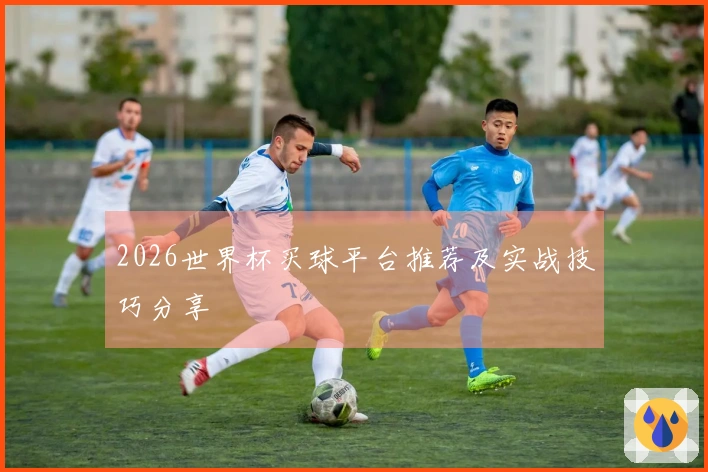 2026世界杯买球平台推荐及实战技巧分享