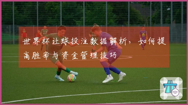 世界杯让球投注数据解析，如何提高胜率与资金管理技巧