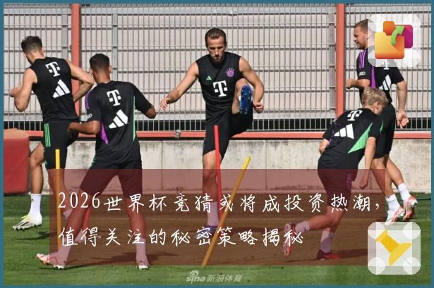 2026世界杯竞猜或将成投资热潮，值得关注的秘密策略揭秘