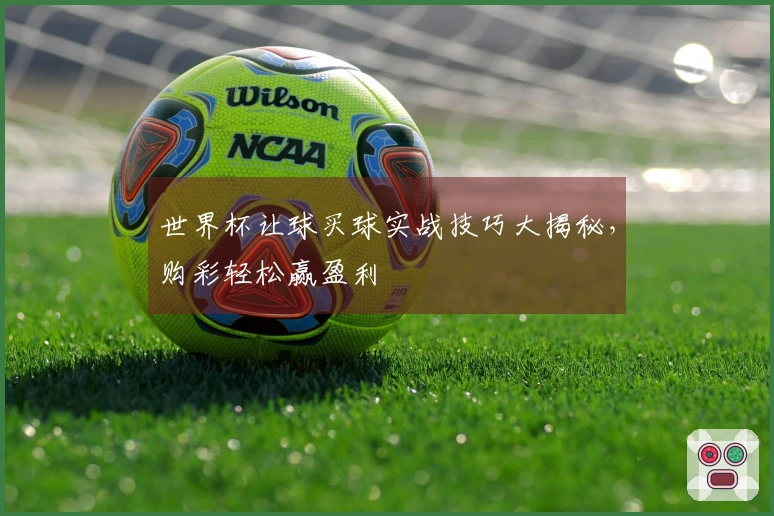 世界杯让球买球实战技巧大揭秘，购彩轻松赢盈利