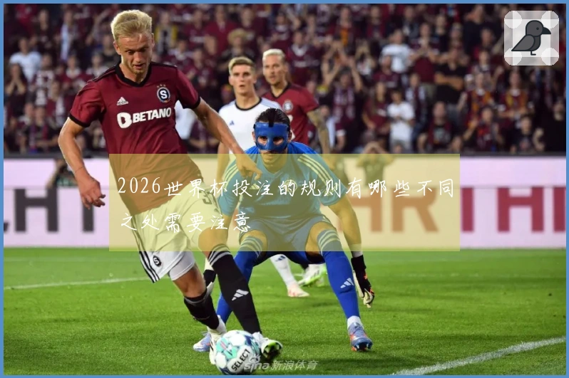 2026世界杯投注的规则有哪些不同之处需要注意
