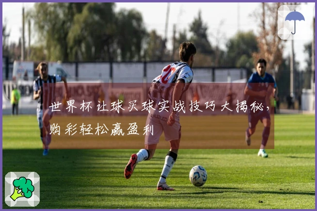 世界杯让球买球实战技巧大揭秘，购彩轻松赢盈利
