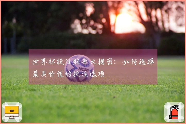 世界杯投注赔率大揭密：如何选择最具价值的投注选项