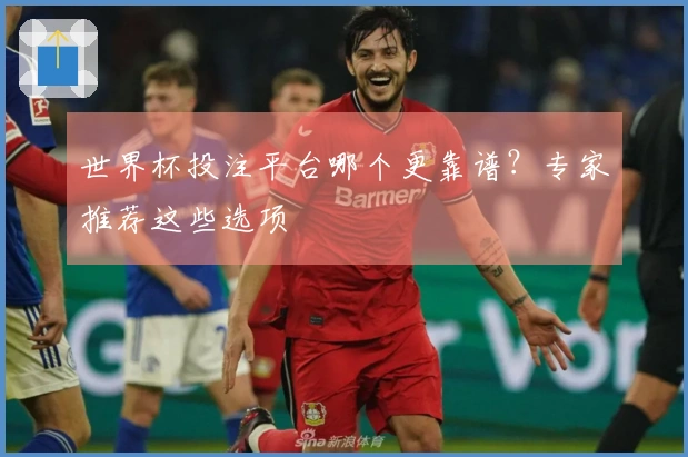 世界杯投注平台哪个更靠谱？专家推荐这些选项